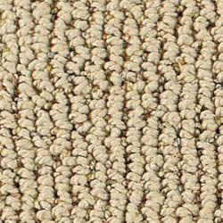 Summit Cleaning Services Carpet Selection Guide - Smart Strand Carpet