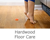 Carson City Hardwood Cleaning - Summit Cleaning Services of Carson City - North Lake Tahoe Hardwood Cleaning, Reno Hardwood Cleaning, Minden Hardwood Cleaning, Gardnerville Hardwood Cleaning